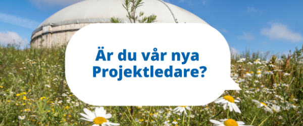 Ledig tjänst projektledare prew