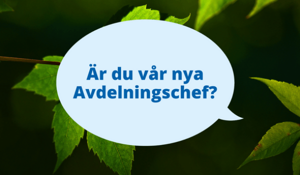 En bakgrundsbild på löv med en pratbubbla med texten "Är du vår nya avdelningschef?"