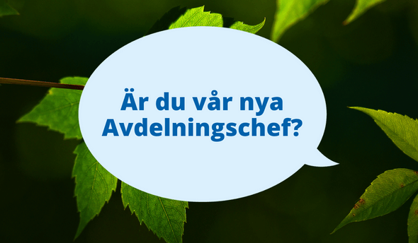 En bakgrundsbild på löv med en pratbubbla med texten "Är du vår nya avdelningschef?"